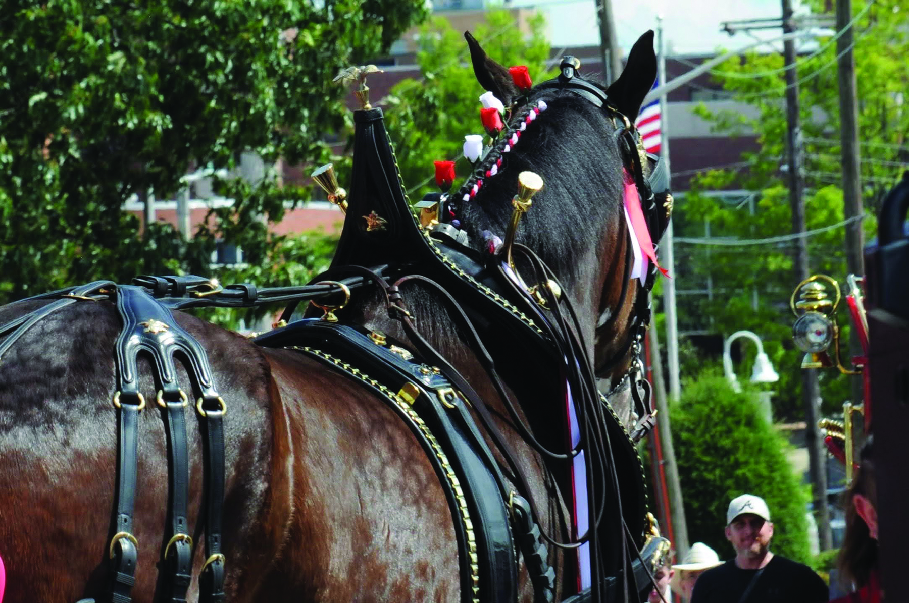 Downtown Jonesboro Hosts Patriotic Tribute